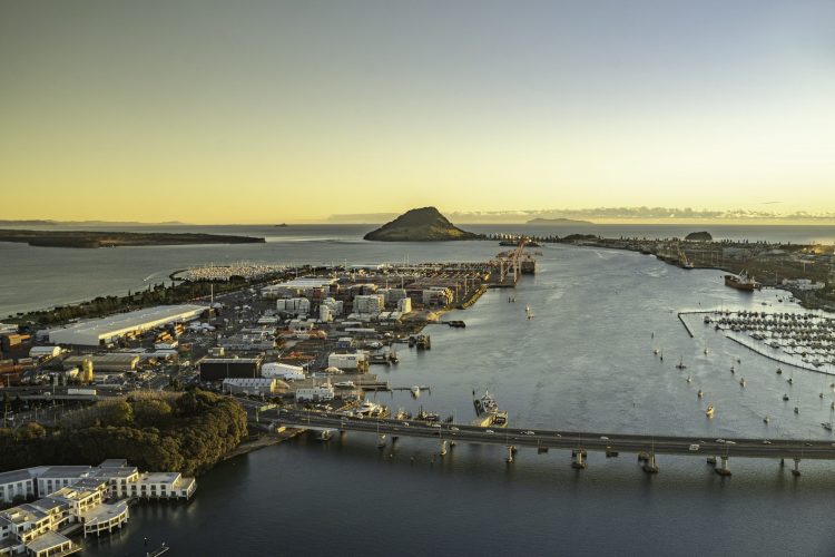 641046-te-papa-peninsula-sunrise-aerial-view